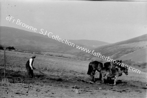 PLOUGHING IN THE KNOCKMEALDOWNS EASTER SATURDAY